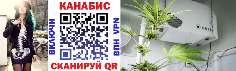 Шишки марихуана THC 21% Курганинск